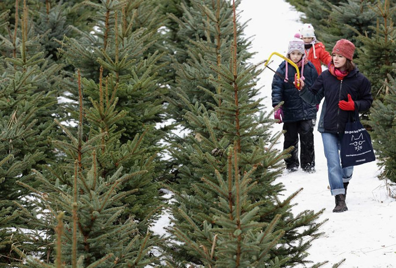 1514169583997507.jpg 2ec1c71180575926326d646338ef1dfd_6NUEJPRF05RQ0001_副本.jpg