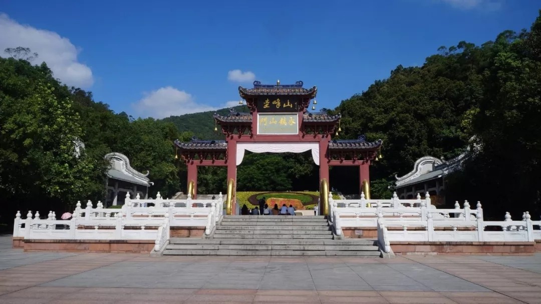 1575354144105216.jpg 640.webp.jpg