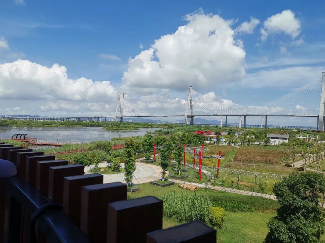 1650073550321284.jpg 640 (8).jpg